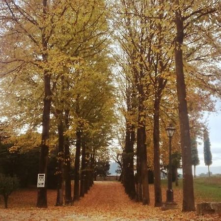 Arcugnano Relais Villa Gozzi B&B المظهر الخارجي الصورة