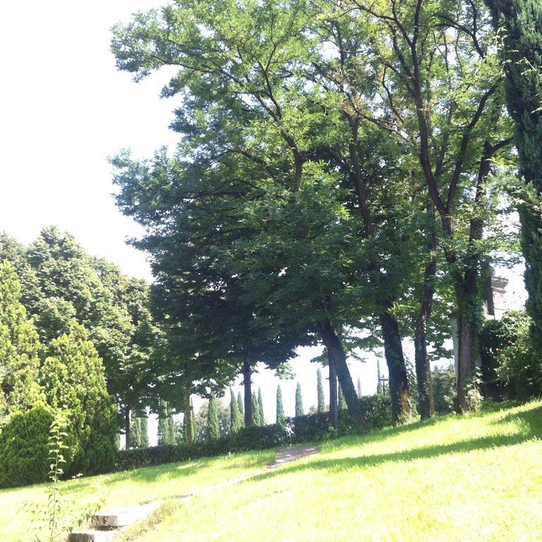 Arcugnano Relais Villa Gozzi B&B المظهر الخارجي الصورة