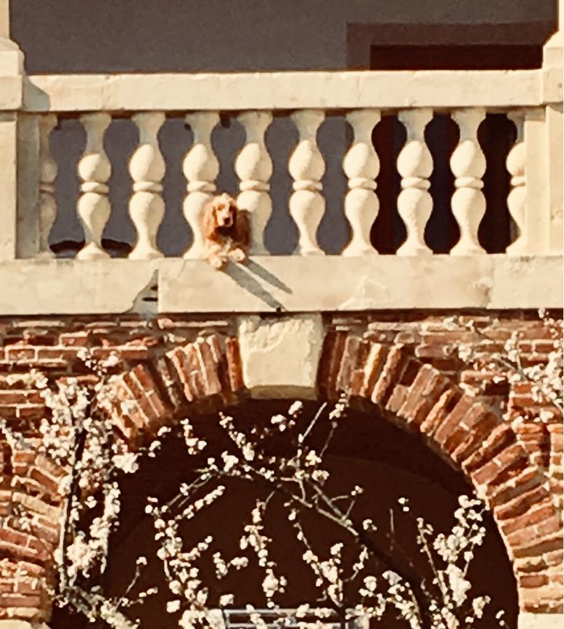 Arcugnano Relais Villa Gozzi B&B المظهر الخارجي الصورة