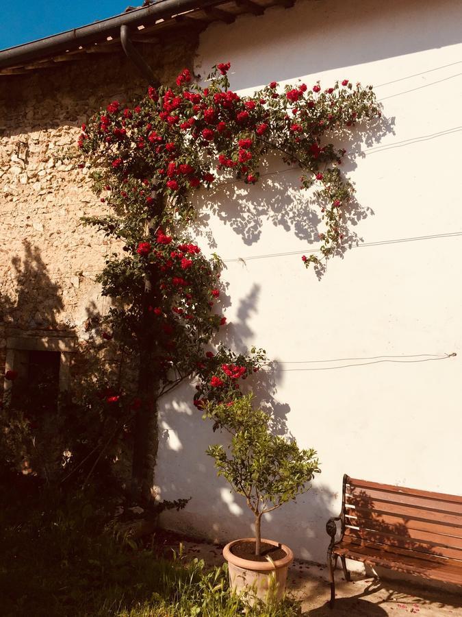 Arcugnano Relais Villa Gozzi B&B المظهر الخارجي الصورة